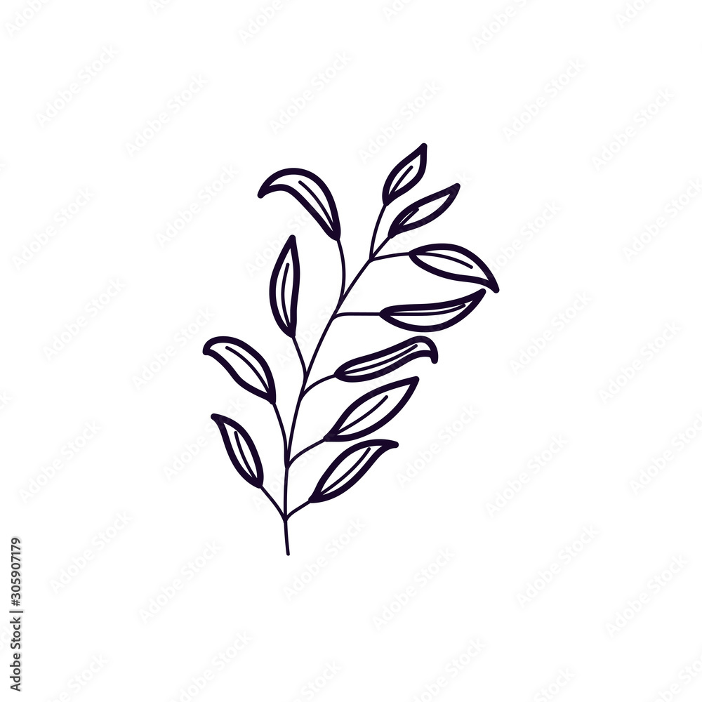 foliage leaves branch nature ecology icon foliage leaves branch nature ecology icon