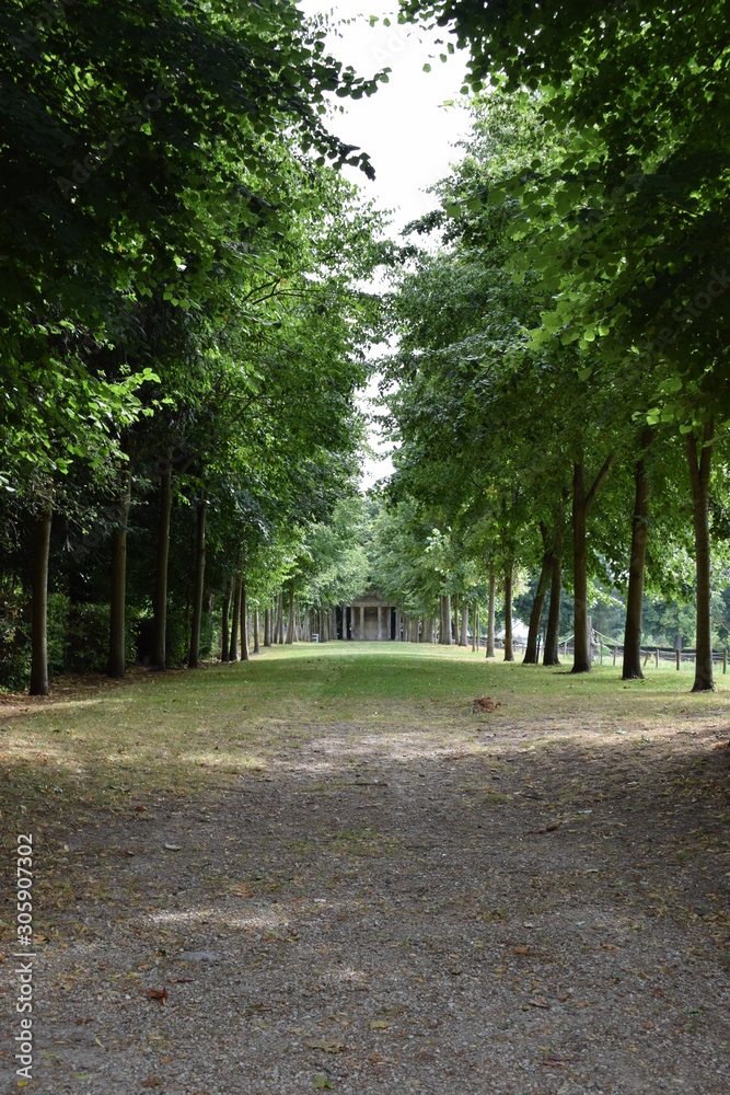 Fototapeta premium ogród