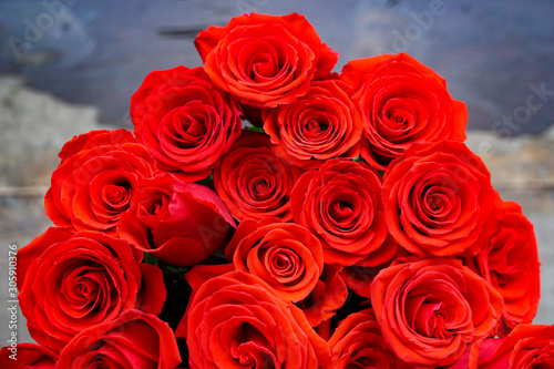a bouquet of bright red scarlet rose  a lot  colorful background  love passion jealousy  Valentine s Day