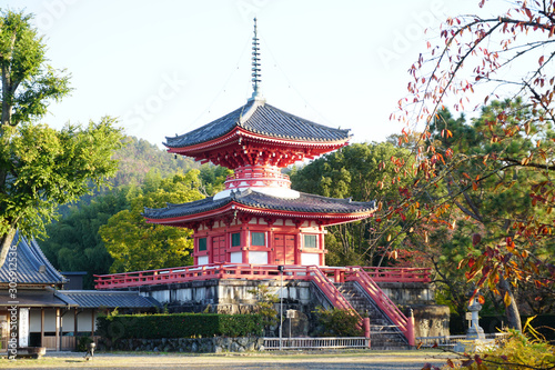 Daikakuji Temple Arashiyama Kyoto,Japan photo