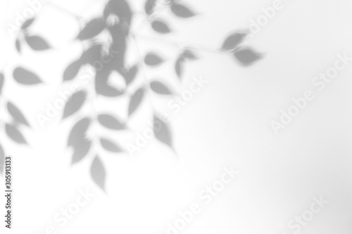 Overlay effect for photo. Gray shadow of the leaves on a white wall. Abstract neutral nature concept blurred background. Dappled light.