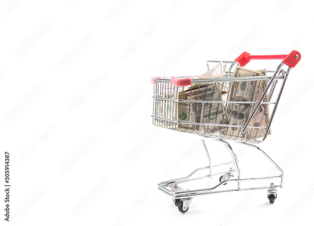 Money Dollar Cash banknote in trolley shopping cart on white background