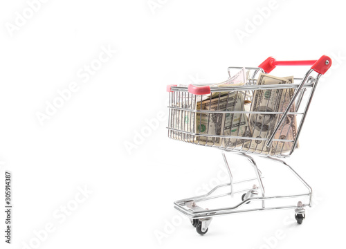 Money Dollar Cash banknote in trolley shopping cart on white background