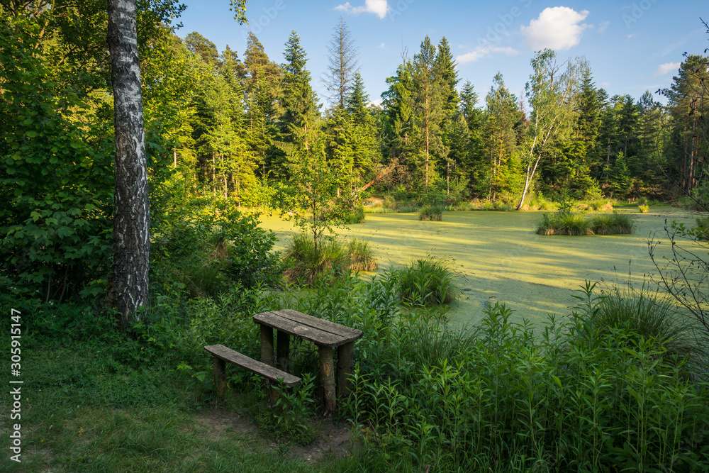 Lake in nature reserve in Kozienice forest, Mazowieckie, Poland Lake in nature reserve in Kozienice forest, Mazowieckie, Poland