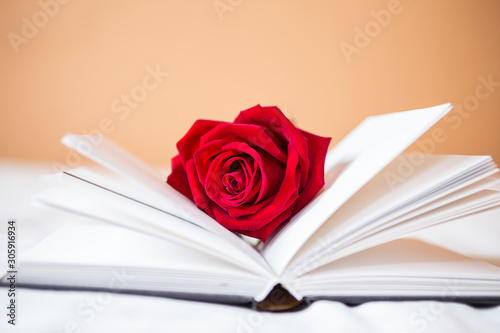 Red rose on white notebook over blurred orange wall background, love and romance concept, valentine background idea