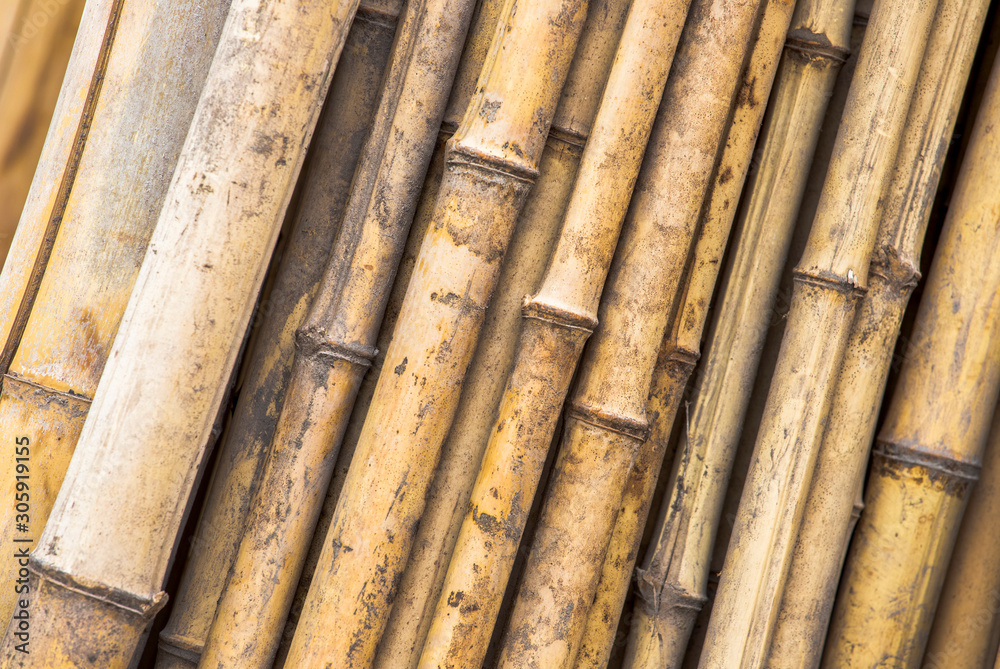 Bamboo fence in garden for bamboo background and texture. Bamboo fence in garden for bamboo background and texture.