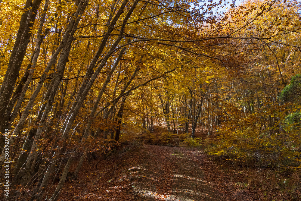 Fototapeta premium Route through the cliffs of Avenc and Tavertet