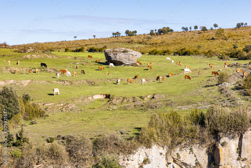 Route through the cliffs of Avenc and Tavertet