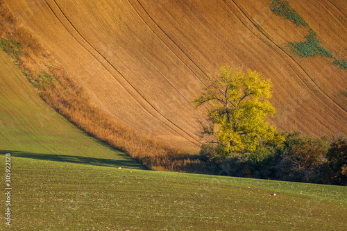 Autumn in Moravia Fields in Czech Republic near Brno with beautifull colors