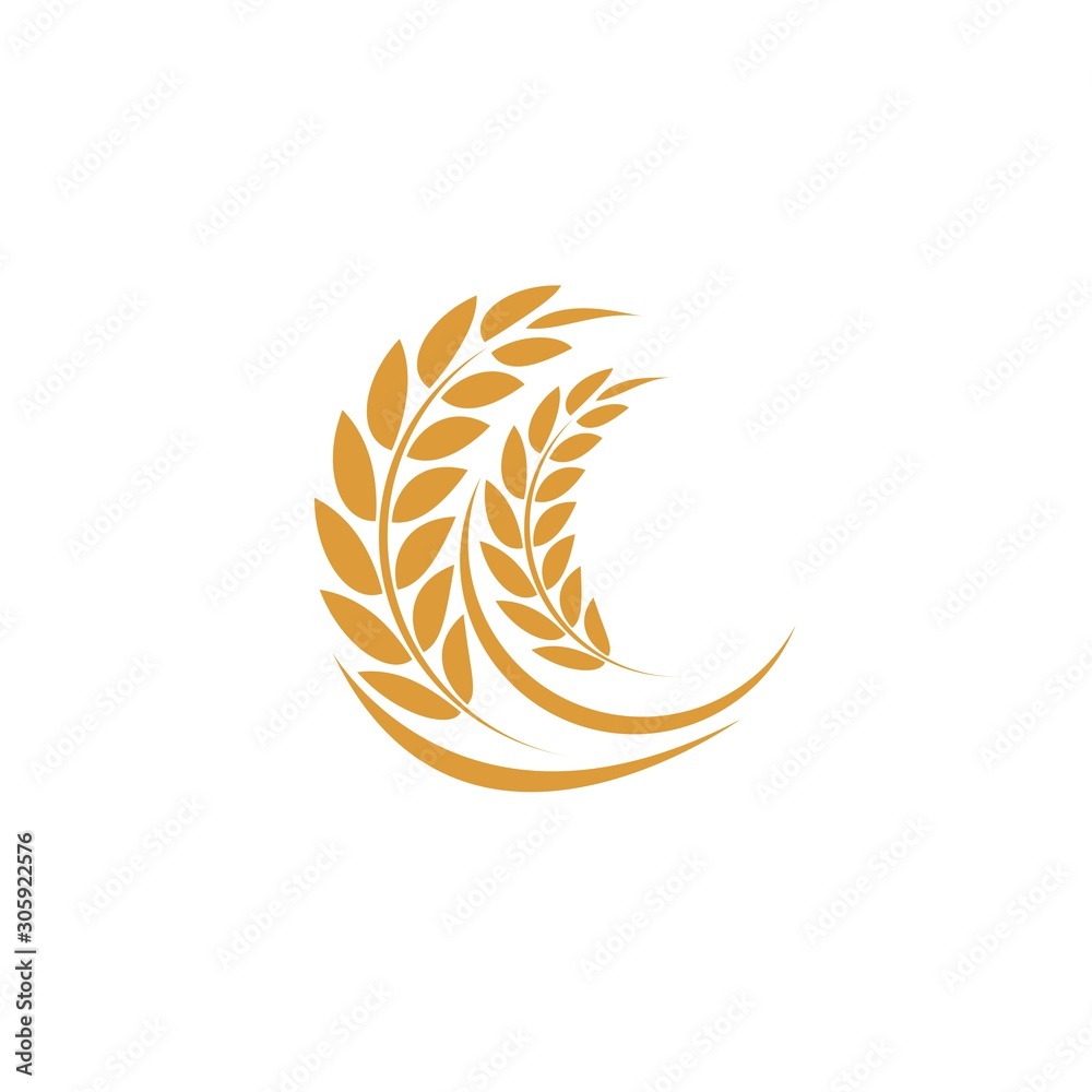Agriculture wheat Logo Template vector icon Agriculture wheat Logo Template vector icon