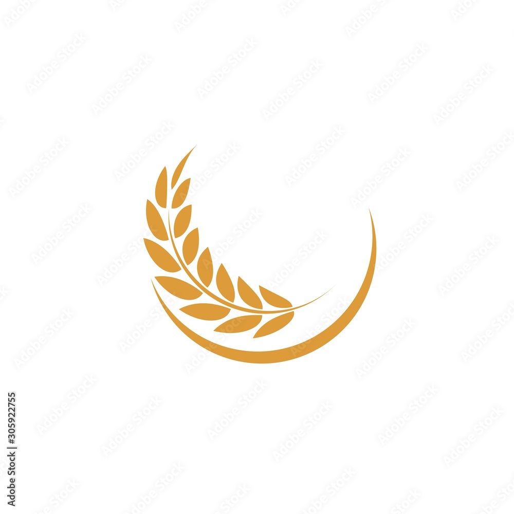 Agriculture wheat Logo Template vector icon Agriculture wheat Logo Template vector icon