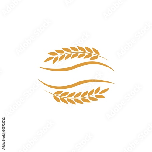 Agriculture wheat Logo Template vector icon