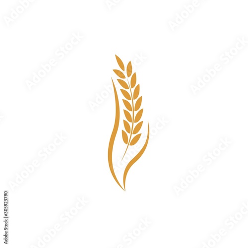 Agriculture wheat Logo Template vector icon