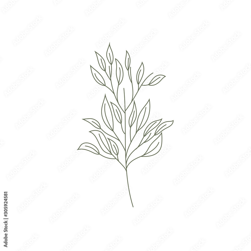 Isolated leaves drawing vector design Isolated leaves drawing vector design