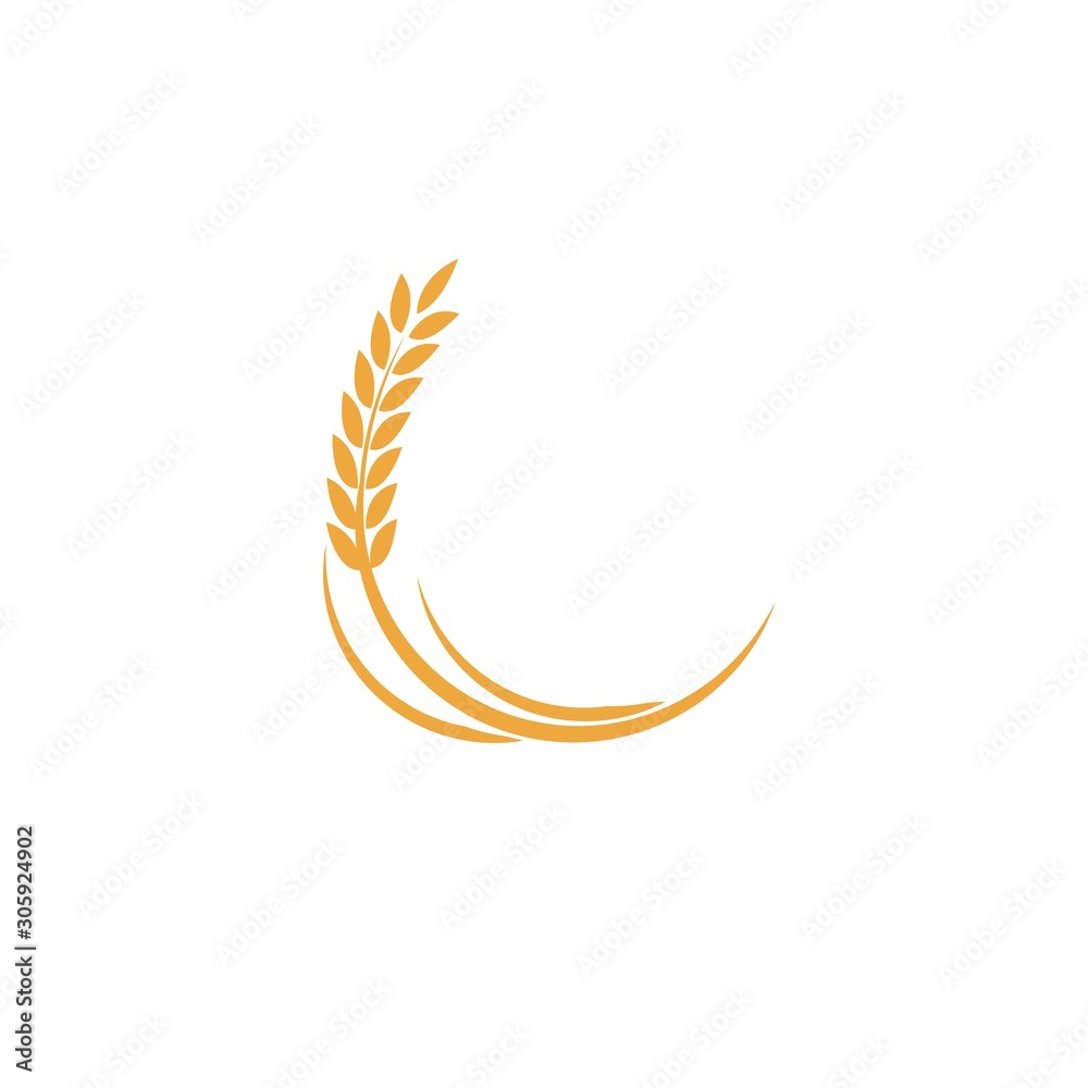 Agriculture wheat Logo Template vector icon