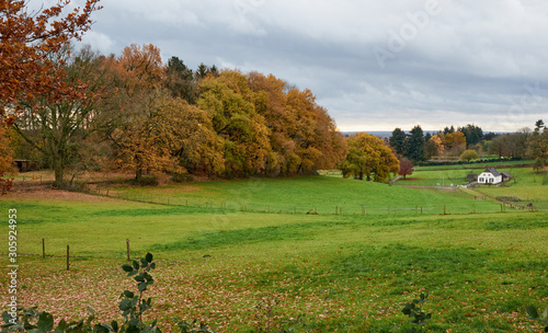 klarenbeek, Arnehem, Netherlands photo