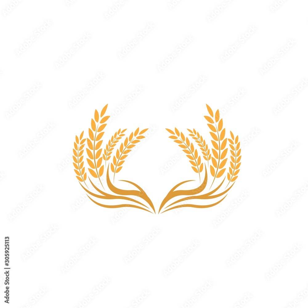 Agriculture wheat Logo Template vector icon Agriculture wheat Logo Template vector icon