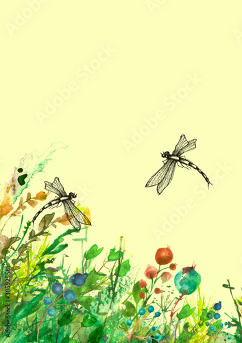 Watercolor illustration. background with floral pattern - grass, wild plants of green color. Watercolor card, postcard, invitation. Dragonfly flies insects, moths. Summer landscape.