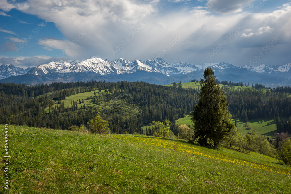 Panorama of snowy Tatra mountains in spring from Gliczarow Gorny, Malopolskie, Poland