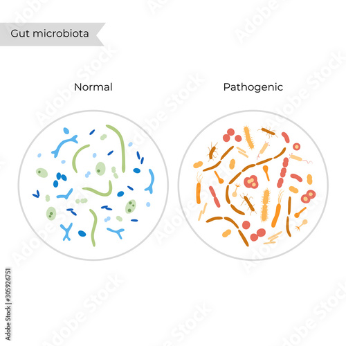 Vector illustration of human microbiota
