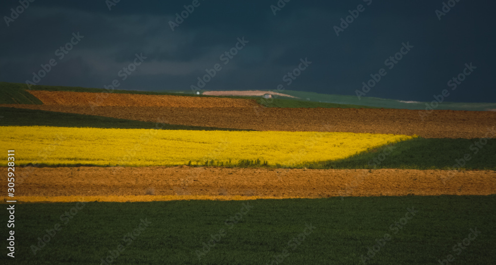 Obraz premium Color lists formed by crops