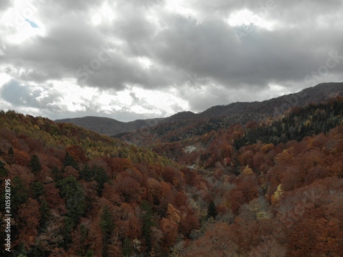 Autumn landscape