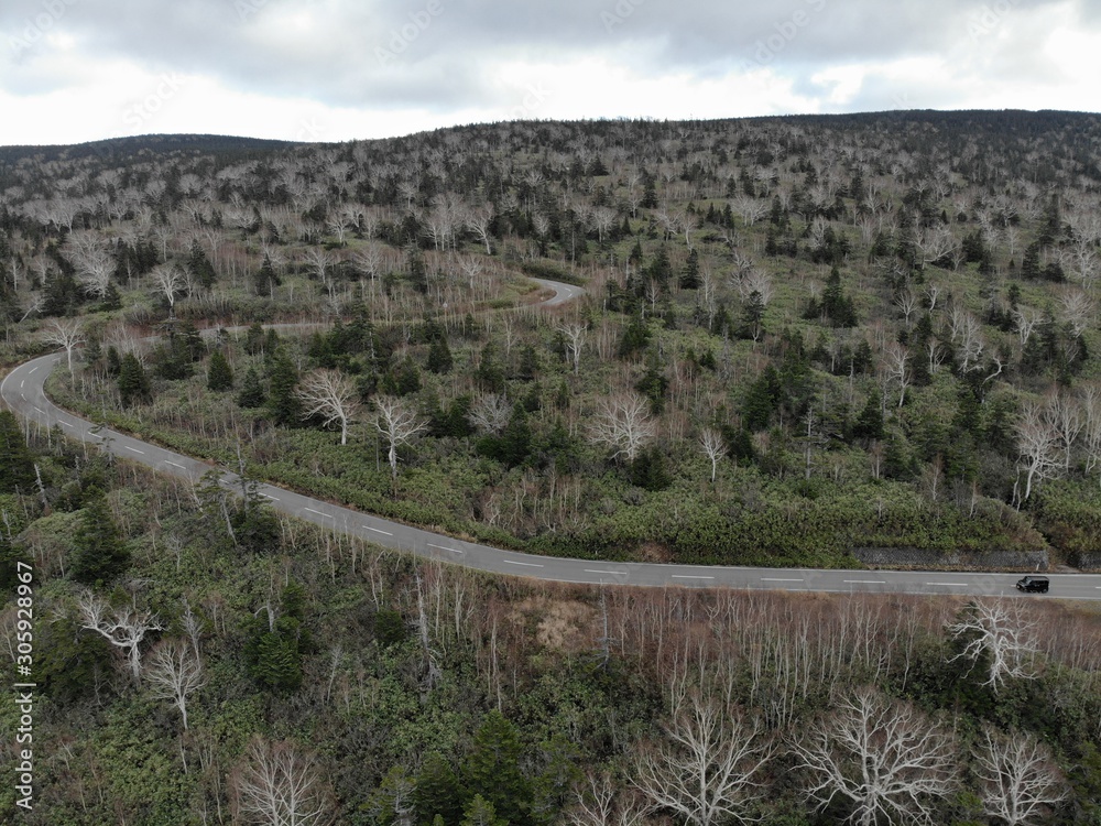 Fototapeta premium Road in the mountain