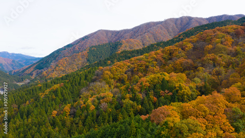 岐阜県 揖斐高原 紅葉 ドローン空撮 © hiroyasu4412