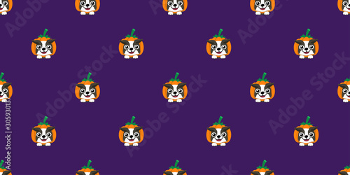 Vector halloween boston terrier dog with pumpkin seamless pattern background cartoon style for design.