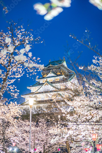 Osaka castle with full bloom cherry blossom beauiful Sakura tree at japan cherry blossom  forecast pink asian flower perfact season to travel and enjoy japanese culture idea long weekend relax