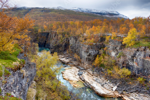 Hiking trail by the river canyon in Abisko National Park in Sweden during golden autumn