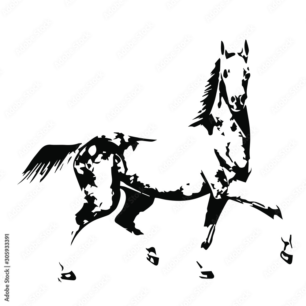 Hand drawn horse vector isolated on a transparent background Stock ...