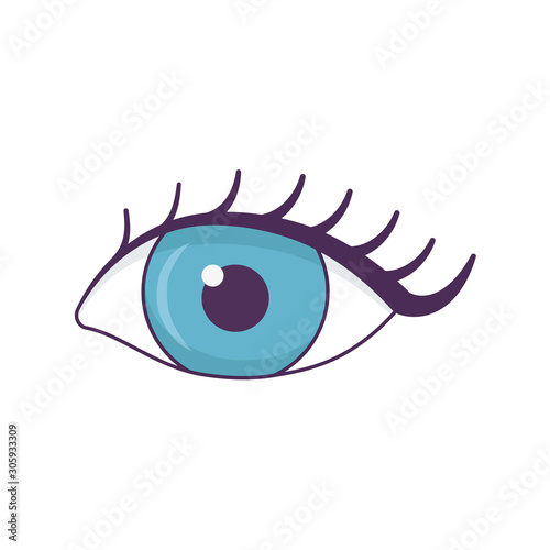 female eye eyelashes icon on white background