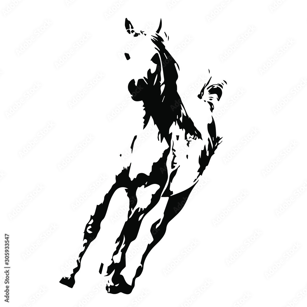 Hand drawn horse vector isolated on a transparent background Stock ...