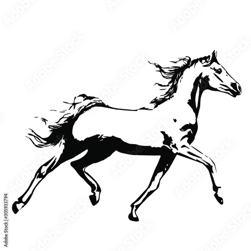 Hand drawn horse vector isolated on a transparent background