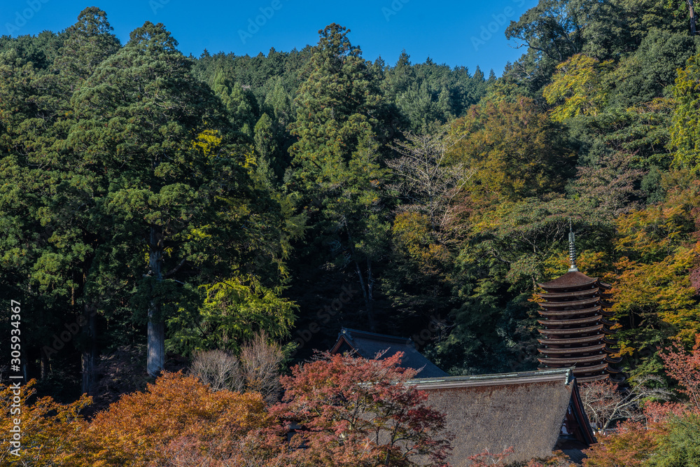 談山神社 談山神社