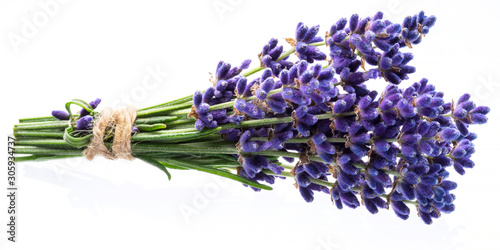 Fototapeta Bunch of lavandula or lavender flowers on white background.