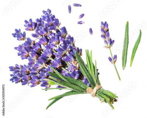 Bunch of lavandula or lavender flowers on white background.