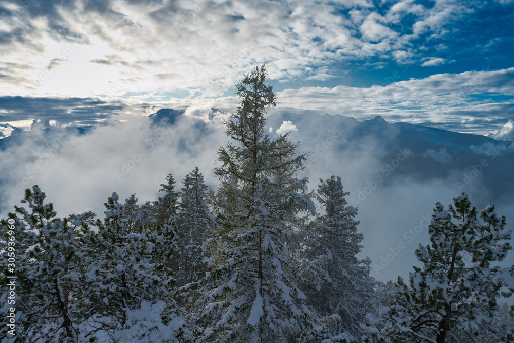 switzerland alps with trees snow