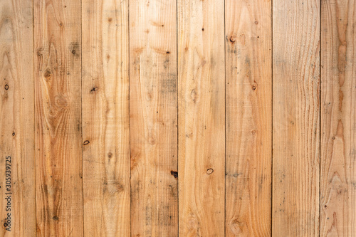 Wood texture - Tree - Wood plank
