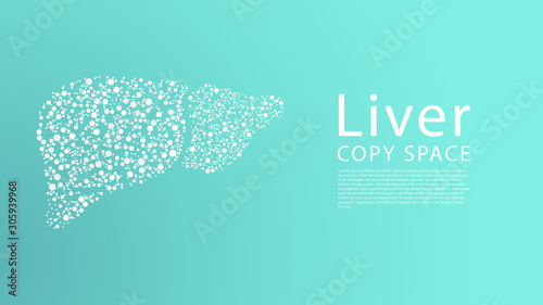 Abstract image of a human liver in the form of a dots, Illustration vector.  photo