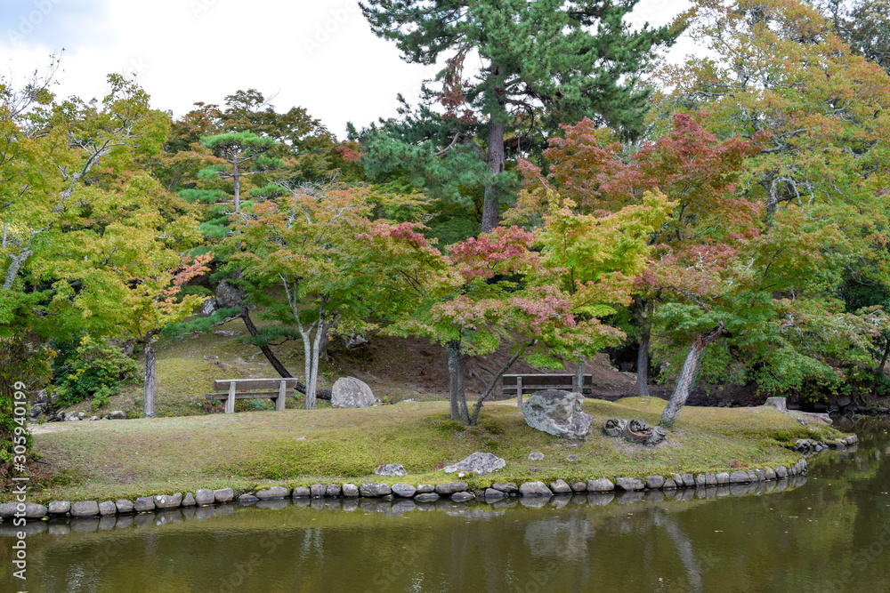 Obraz premium 奈良公園 風景