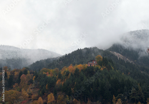 Autumn scene in the vilage.Savsat/Artvin/Turkey