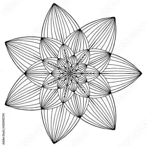 Nymphaea, children coloring, drawing. Leaves set of different plants and trees. Black and white snowflake. Cartoon vector