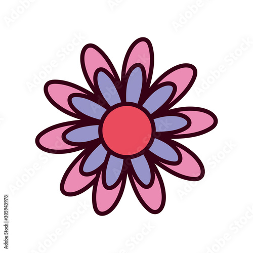 Isolated flower ornament vector design