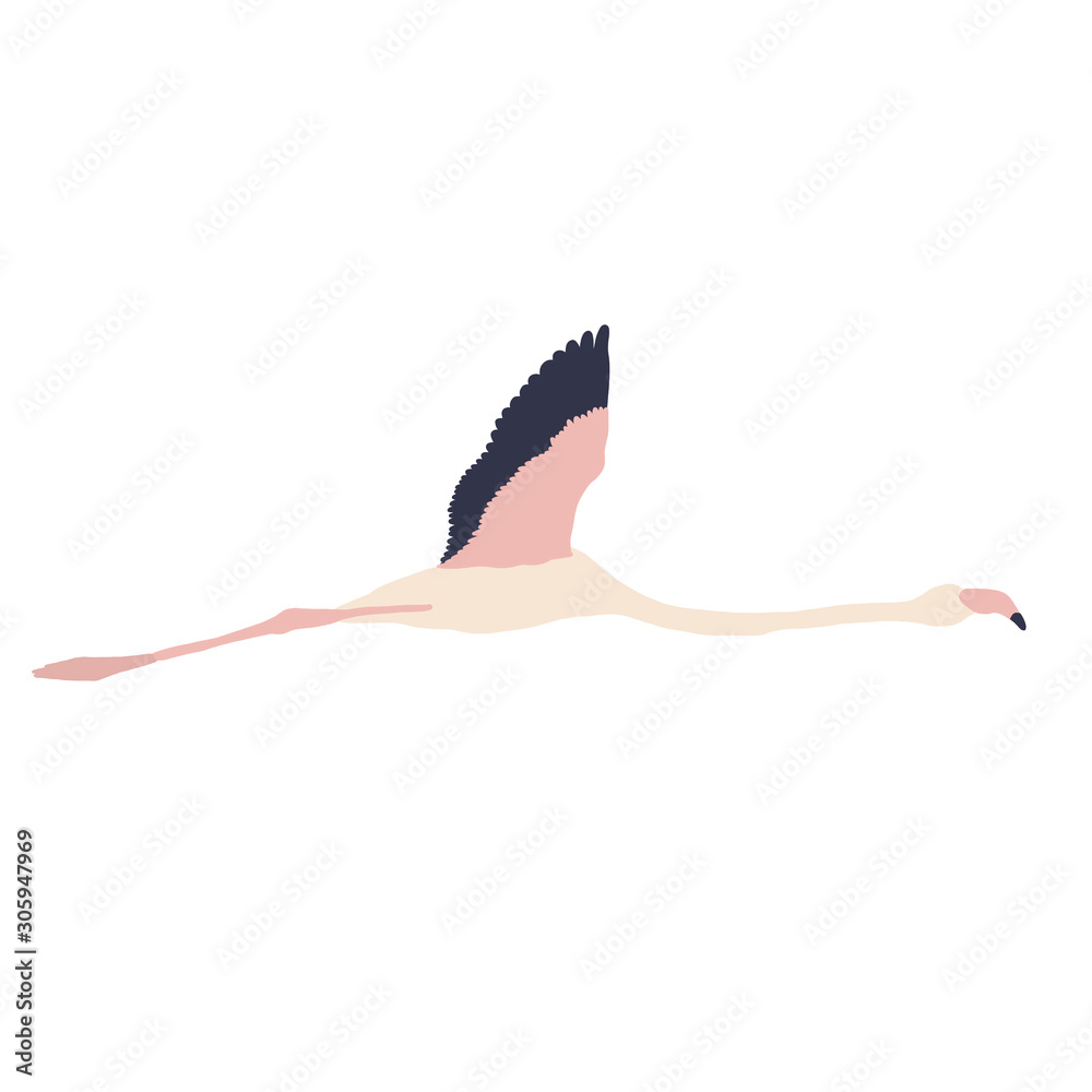 Bird summer Art abstract animal Bird summer Art abstract animal