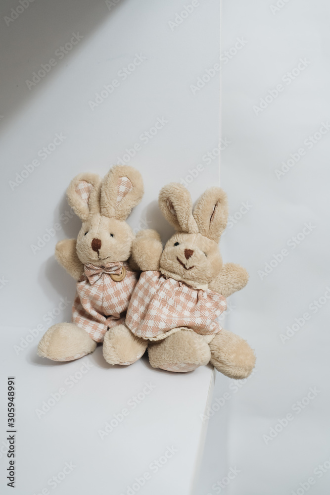 Cute rabbit toys on white background 