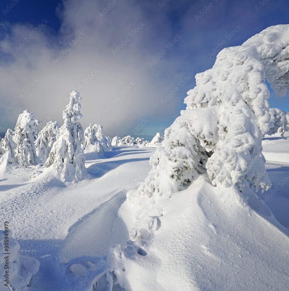 Winterlandschaft mit viel Schnee Photos