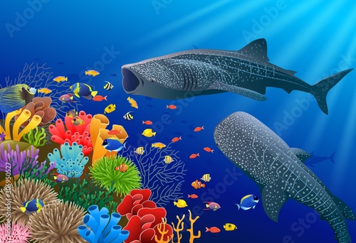 Whale shark cartoon with underwater view and coral background. Vector Illustration