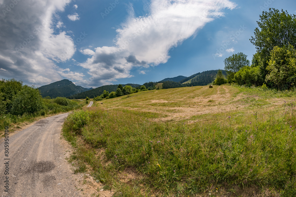 view summer foothills landscape lower tatra mountains